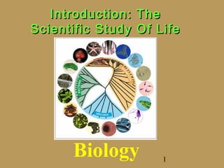 Introduction:   The
Scientific Study   Of Life




      Biology          1
 