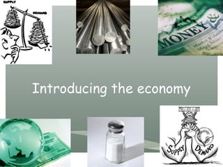 Introducing the economy
 