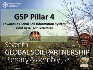 GSP Pillar 4
Towards a Global Soil Information System
Yusuf Yigini - GSP Secretariat
 