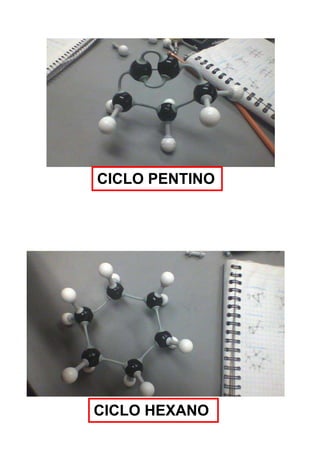 CICLO PENTINO
CICLO HEXANO
 