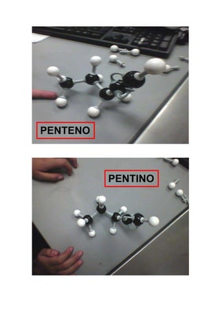PENTENO
PENTINO
 