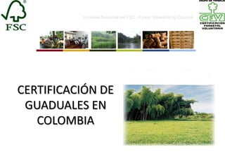 Iniciativa Nacional del FSC –Forest Stewardship Council-




CERTIFICACIÓN DE
 GUADUALES EN
   COLOMBIA
 
