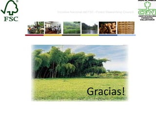 Iniciativa Nacional del FSC –Forest Stewardship Council-




                     Gracias!
 