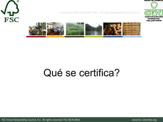Iniciativa Nacional del FSC –Forest Stewardship Council-




                                     Qué se certifica?



FSC Forest Stewardship Council, A.C. All rights reserved. FSC-SECR-0002                               www.fsc-colombia.org
 