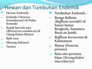 Hewan dan Tumbuhan Endemik
 Hewan Endemik:
1. komodo (Varanus
komodoensis) di Pulau
Komodo
2. Badak bercula satu
(Rhinoceros sondaicus) di
Ujung Kulon-Banten
3. Babi rusa
4. Musang Sulawesi
5. Tarsius
 Tumbuhan Endemik :
1. Bunga Raflesia
(Rafflesia arnoldii) di
hutan-hutan
Bengkulu, Sumatera
Barat an Jambi.
2. Rafflesia borneensis di
Kalimantan
3. Matoa (Pometia
pinnata)
4. Ratu slur permata
hijau (Strongylodon
macrobotrys)
 
