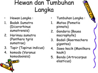 Hewan dan Tumbuhan
Langka
• Hewan Langka :
1. Badak Sumatra
(Dicerorhinus
sumatrensis)
2. Harimau sumatra
(Panthera tgris
sumatrae)
3. Tapir (Tapirus indicus)
4. komodo (Varanus
komodoensis)
• Tumbuhan Langka :
1. Matoa (Pometia
pinnata)
2. Gandaria (Bouea
macrophylle)
3. Badali (Raermachera
gigantea)
4. Sawo kecik (Manilkara
kauki)
5. Bendo (Artrocarpus
elasticus)
 