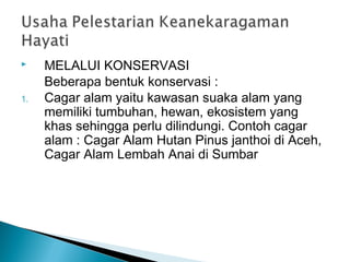  MELALUI KONSERVASI
Beberapa bentuk konservasi :
1. Cagar alam yaitu kawasan suaka alam yang
memiliki tumbuhan, hewan, ekosistem yang
khas sehingga perlu dilindungi. Contoh cagar
alam : Cagar Alam Hutan Pinus janthoi di Aceh,
Cagar Alam Lembah Anai di Sumbar
 
