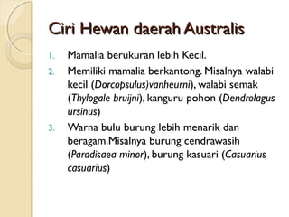 Ciri Hewan daerah AustralisCiri Hewan daerah Australis
1. Mamalia berukuran lebih Kecil.
2. Memiliki mamalia berkantong. Misalnya walabi
kecil (Dorcopsulus)vanheurni), walabi semak
(Thylogale bruijni), kanguru pohon (Dendrolagus
ursinus)
3. Warna bulu burung lebih menarik dan
beragam.Misalnya burung cendrawasih
(Paradisaea minor), burung kasuari (Casuarius
casuarius)
 