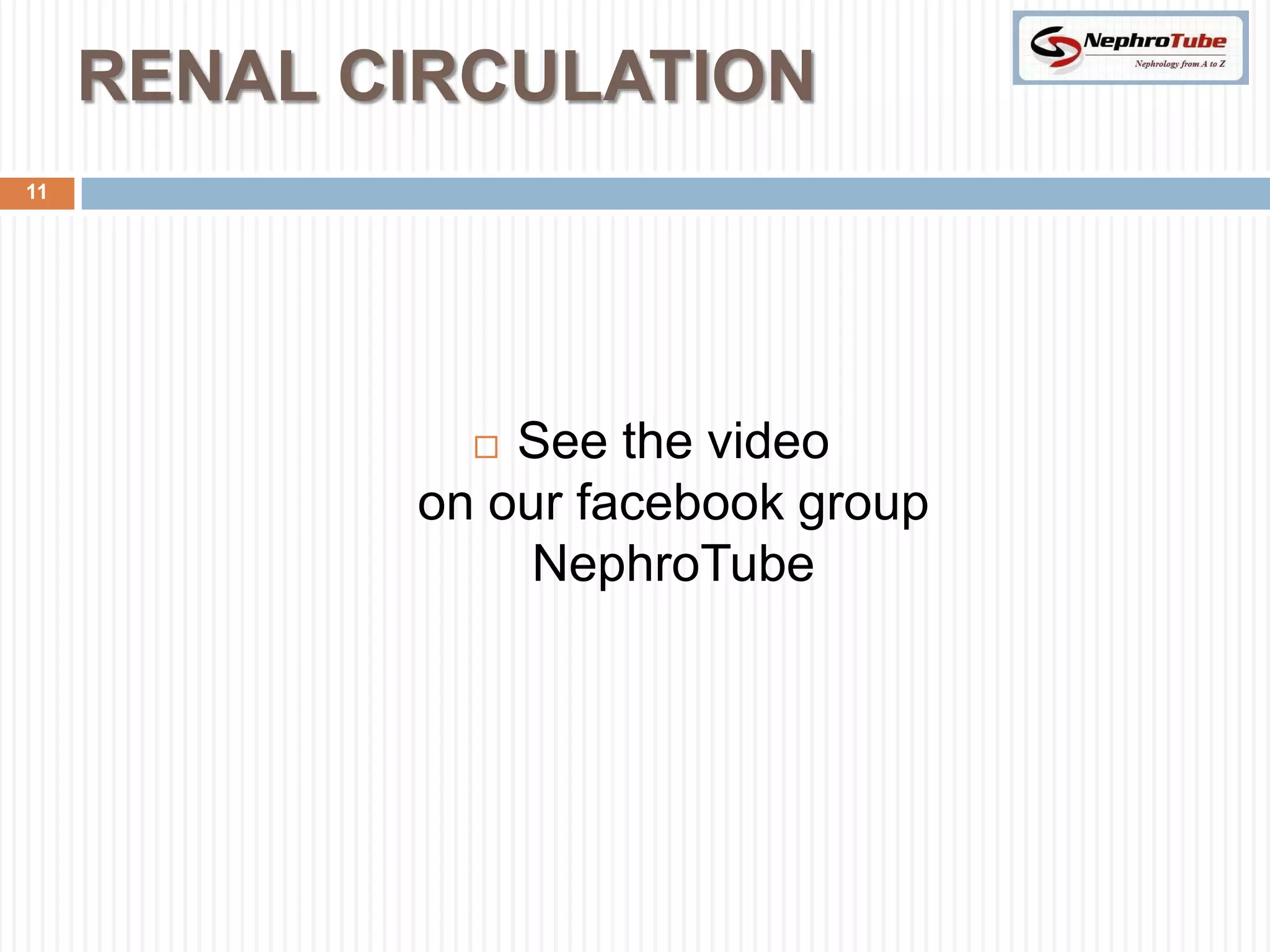 RENAL CIRCULATION
11




               See the video
            on our facebook group
                 NephroTube
 