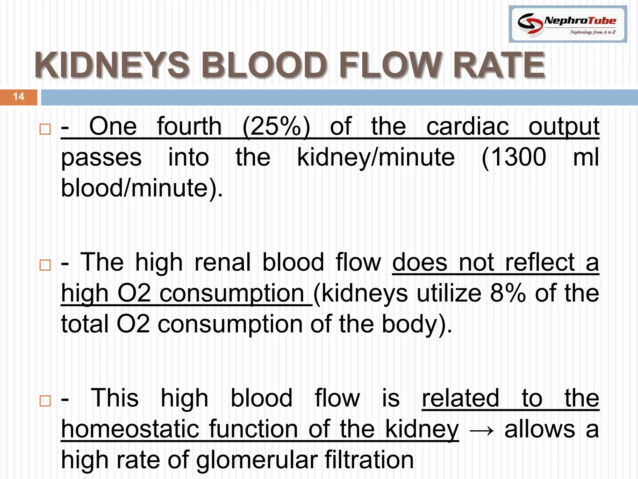 KIDNEYS BLOOD FLOW RATE
14


        - One fourth (25%) of the cardiac output
         passes into the kidney/minute (1300 ml
         blood/minute).

        - The high renal blood flow does not reflect a
         high O2 consumption (kidneys utilize 8% of the
         total O2 consumption of the body).

        - This high blood flow is related to the
         homeostatic function of the kidney → allows a
         high rate of glomerular filtration
 