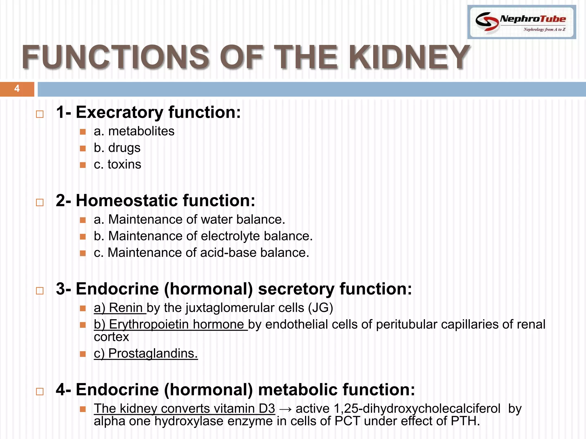 FUNCTIONS OF THE KIDNEY
4

       1- Execratory function:
             a. metabolites
             b. drugs
             c. toxins

       2- Homeostatic function:
             a. Maintenance of water balance.
             b. Maintenance of electrolyte balance.
             c. Maintenance of acid-base balance.

       3- Endocrine (hormonal) secretory function:
             a) Renin by the juxtaglomerular cells (JG)
             b) Erythropoietin hormone by endothelial cells of peritubular capillaries of renal
              cortex
             c) Prostaglandins.

       4- Endocrine (hormonal) metabolic function:
             The kidney converts vitamin D3 → active 1,25­dihydroxycholecalciferol by
              alpha one hydroxylase enzyme in cells of PCT under effect of PTH.
 