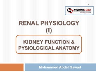 1




RENAL PHYSIOLOGY
       (I)
         m
 KIDNEY FUNCTION &
PYSIOLOGICAL ANATOMY


      Mohammed Abdel Gawad
 