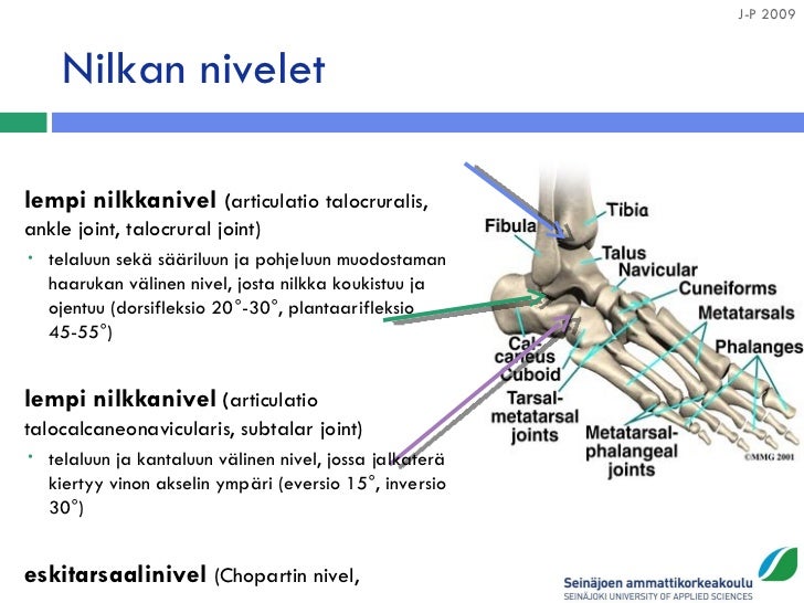 1 kinematiikka 1 kinematiikka