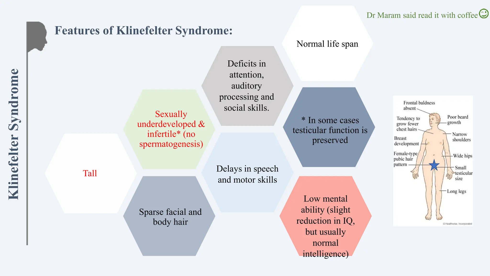 1 Klinefelter Turner And Down Syndromes pptx