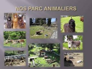 NOS PARC ANIMALIERS