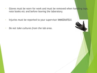 • Gloves must be worn for work and must be removed when handling taps,
note books etc and before leaving the laboratory.
• Injuries must be reported to your supervisor IMMEDIATELY.
• Do not take cultures from the lab area.
 