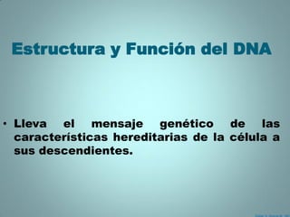 Estructura y Función del DNA



• Lleva el mensaje genético de las
  características hereditarias de la célula a
  sus descendientes.
 