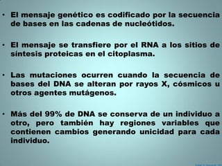 • El mensaje genético es codificado por la secuencia
  de bases en las cadenas de nucleótidos.

• El mensaje se transfiere por el RNA a los sitios de
  síntesis proteicas en el citoplasma.

• Las mutaciones ocurren cuando la secuencia de
  bases del DNA se alteran por rayos X, cósmicos u
  otros agentes mutágenos.

• Más del 99% de DNA se conserva de un individuo a
  otro, pero también hay regiones variables que
  contienen cambios generando unicidad para cada
  individuo.
 