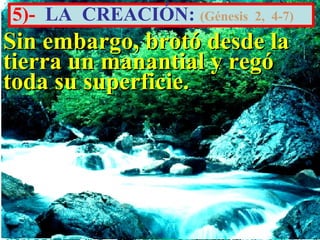 5)- LA CREACIÓN: (Génesis   2, 4-7)

Sin embargo, brotó desde la
tierra un manantial y regó
toda su superficie.
 