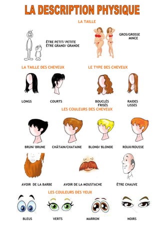 LA TAILLE
GROS/GROSSE
MINCE
ÊTRE PETIT/ PETITE
ÊTRE GRAND/ GRANDE
LA TAILLE DES CHEVEUX LE TYPE DES CHEVEUX
LONGS COURTS BOUCLÉS RAIDES
FRISÉS LISSES
LES COULEURS DES CHEVEUX
BRUN/ BRUNE CHÂTAIN/CHATAINE BLOND/ BLONDE ROUX/ROUSSE
AVOIR DE LA BARBE AVOIR DE LA MOUSTACHE ÊTRE CHAUVE
LES COULEURS DES YEUX
BLEUS VERTS MARRON NOIRS
 