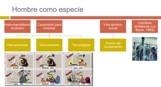 Hombre como especie