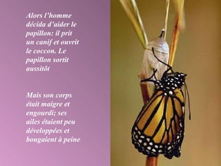Alors l’homme
décida d’aider le
papillon: il prit
un canif et ouvrit
le coccon. Le
papillon sortit
aussitôt
Mais son corps
était maigre et
engourdi; ses
ailes étaient peu
développées et
bougaient à peine
 