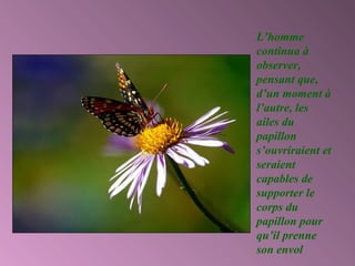 L’homme
continua à
observer,
pensant que,
d’un moment à
l’autre, les
ailes du
papillon
s’ouvriraient et
seraient
capables de
supporter le
corps du
papillon pour
qu’il prenne
son envol
 
