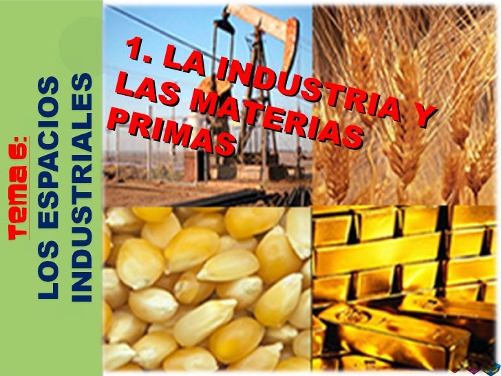 1 La Industria Y Las Materias Primas