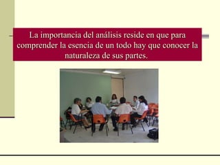 La importancia del análisis reside en que para comprender la esencia de un todo hay que conocer la naturaleza de sus partes.   