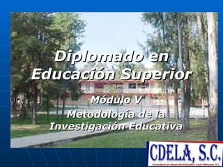 Diplomado en Educación Superior Módulo V Metodología de la Investigación Educativa 