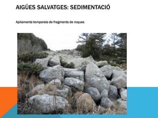 AIGÜES SALVATGES: SEDIMENTACIÓ

Apilaments temporals de fragments de roques
 