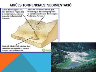 AIGÜES TORRENCIALS: SEDIMENTACIÓ
 
