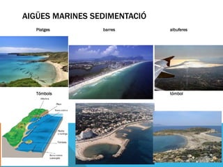 AIGÜES MARINES SEDIMENTACIÓ
   Platges       barres       albuferes




   Tómbols                    tómbol
 