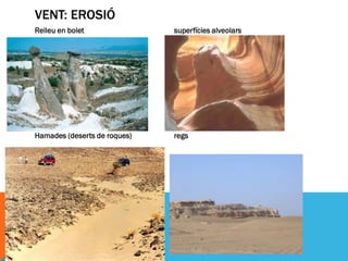 VENT: EROSIÓ
Relleu en bolet               superfícies alveolars




Hamades (deserts de roques)   regs
 