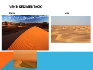 VENT: SEDIMENTACIÓ
Dunes                ergs
 