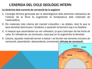 L’ENERGIA DEL CICLE GEOLÒGIC INTERN
La dinàmica dels corrents de convecció és la següent:
1. L’energia tèrmica generada per la desintegració dels elements radioactius de
   l’interior de la Terra fa augmentar la temperatura dels materials de
   l’astenosfera.
2. Els materials més interns del mantell s’escalfen i es dilaten. Això fa que la
   seva densitat disminueixi i tendeixin a ascendir lentament cap a la litosfera.
3. A mesura que ascendeixen es van refredant, ja que s’allunyen de les fonts de
   calor. En refredar-se, es contrauen, cosa que en fa augmentar la densitat.
4. Llavors, aquests materials tornen a baixar i es formen els corrents circulars de
   convecció, ascendents i descendents, anomenats cèl·lules de convecció.
 
