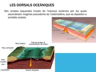 LES DORSALS OCEÀNIQUES
Són amples esquerdes lineals de l’escorça oceànica per les quals
  ascendeixen magmes procedents de l’astenosfera, que es dipositen a
  ambdós costats.
 