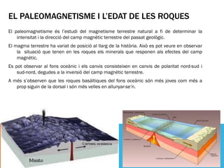 EL PALEOMAGNETISME I L’EDAT DE LES ROQUES
El paleomagnetisme és l’estudi del magnetisme terrestre natural a fi de determinar la
    intensitat i la direcció del camp magnètic terrestre del passat geològic.
El magma terrestre ha variat de posició al llarg de la història. Això es pot veure en observar
    la situació que tenen en les roques els minerals que responen als efectes del camp
    magnètic.
Es pot observar al fons oceànic i els canvis consisteixen en canvis de polaritat nord-sud i
    sud-nord, degudes a la inversió del camp magnètic terrestre.
A més s’observen que les roques basàltiques del fons oceànic són més joves com més a
   prop siguin de la dorsal i són més velles en allunyar-se’n.
 