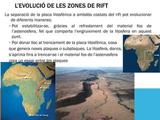 L’EVOLUCIÓ DE LES ZONES DE RIFT
La separació de la placa litosfèrica a ambdós costats del rift pot evolucionar
   de diferents maneres:
  • Pot estabilitzar-se, gràcies al refredament del material fos de
    l’astenosfera, fet que comporta l’engruiximent de la litosfera en aquest
    punt.
  • Por donar lloc al trencament de la placa litosfèrica, cosa
  que genera noves plaques o subplaques. La litosfera, doncs,
  s’aprima fins a trencar-se i el material fos de l’astenosfera
  crea un espai entre les plaques
 