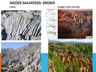 AIGÜES SALVATGES: EROSIÓ
Lapiaz                     xaragall i pilars coronats
 