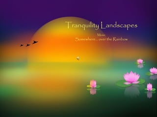Tranquility Landscapes
Music
Somewhere… over the Rainbow
 