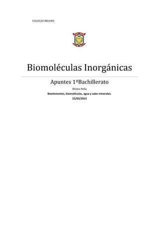 COLEGIO BRAINS




Biomoléculas Inorgánicas
            Apuntes 1ºBachillerato
                             Álvaro Peña
          Bioelementos, biomoléculas, agua y sales minerales.
                             22/03/2013
 