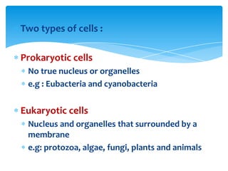 Two types of cells :
Prokaryotic cells
No true nucleus or organelles
e.g : Eubacteria and cyanobacteria
Eukaryotic cells
Nucleus and organelles that surrounded by a
membrane
e.g: protozoa, algae, fungi, plants and animals
 