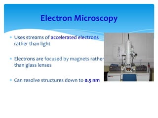 Electron Microscopy
Uses streams of accelerated electrons
rather than light
Electrons are focused by magnets rather
than glass lenses
Can resolve structures down to 0.5 nm
 