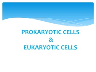 PROKARYOTIC CELLS
&
EUKARYOTIC CELLS
 