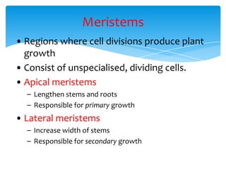 Meristems
• Regions where cell divisions produce plant
growth
• Consist of unspecialised, dividing cells.
• Apical meristems
– Lengthen stems and roots
– Responsible for primary growth
• Lateral meristems
– Increase width of stems
– Responsible for secondary growth
 