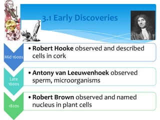 3.1 Early Discoveries
Mid 1600s
•Robert Hooke observed and described
cells in cork
Late
1600s
•Antony van Leeuwenhoek observed
sperm, microorganisms
1820s
•Robert Brown observed and named
nucleus in plant cells
 