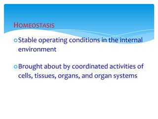 HOMEOSTASIS
Stable operating conditions in the internal
environment
Brought about by coordinated activities of
cells, tissues, organs, and organ systems
 