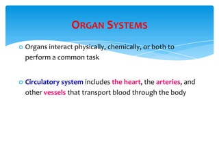 ORGAN SYSTEMS
 Organs interact physically, chemically, or both to
perform a common task
 Circulatory system includes the heart, the arteries, and
other vessels that transport blood through the body
 