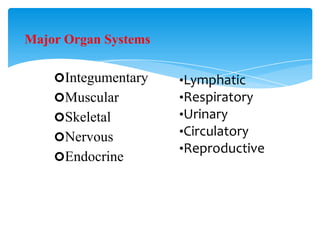 Major Organ Systems
Integumentary
Muscular
Skeletal
Nervous
Endocrine
•Lymphatic
•Respiratory
•Urinary
•Circulatory
•Reproductive
 